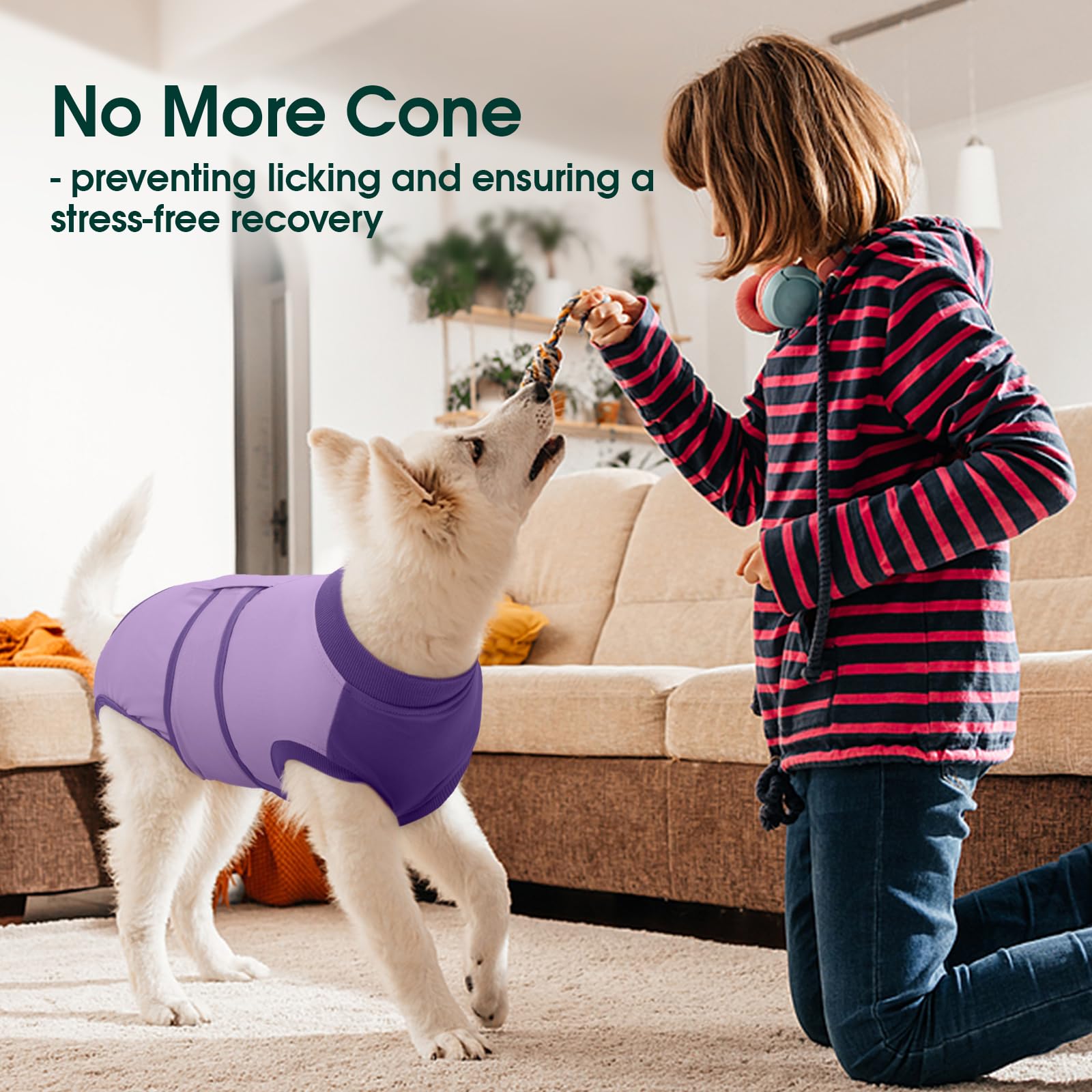 Kuoser offers six sizes for a secure fit on most dogs.