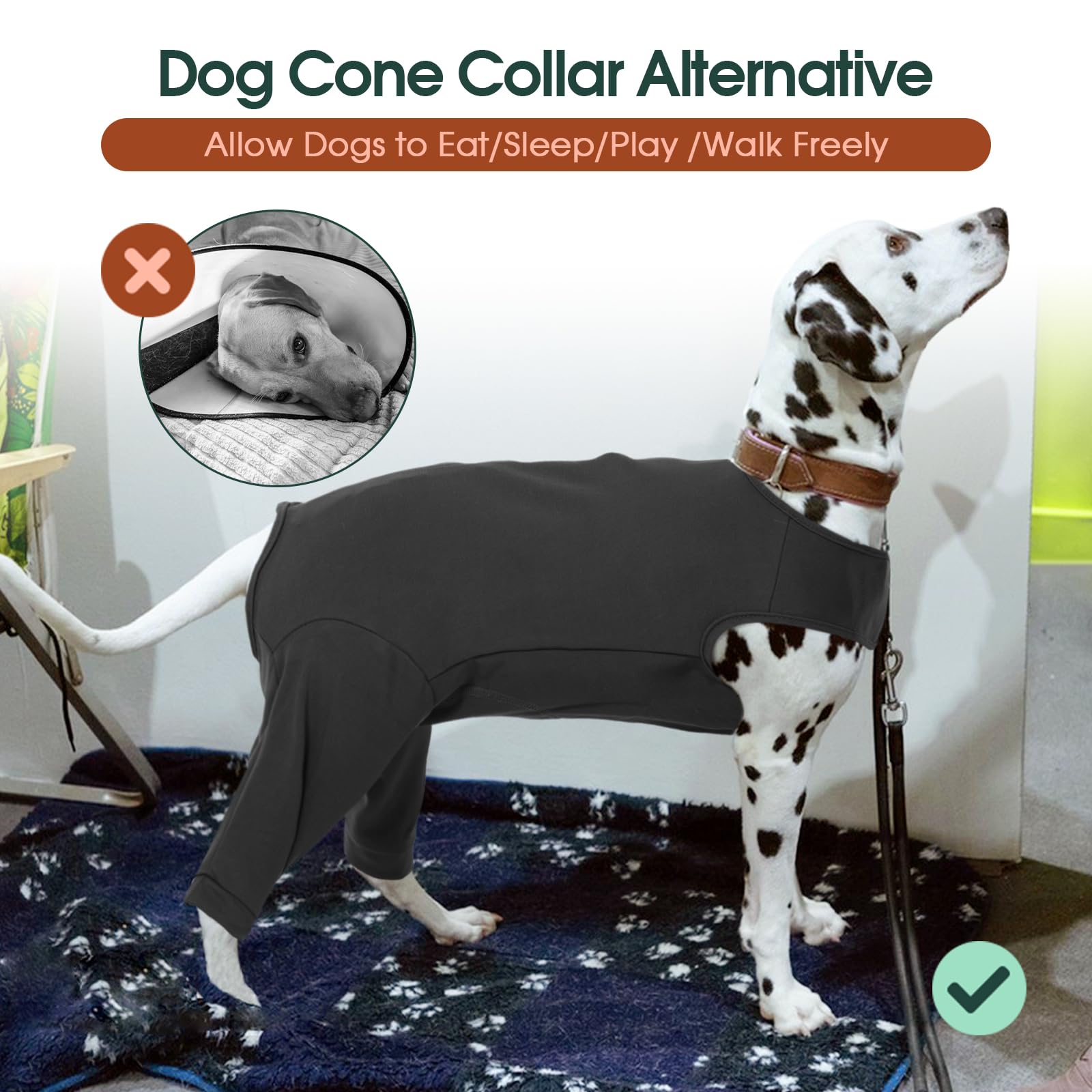 Kuoser 7-size range fits many breeds for a comfortable post-surgery fit