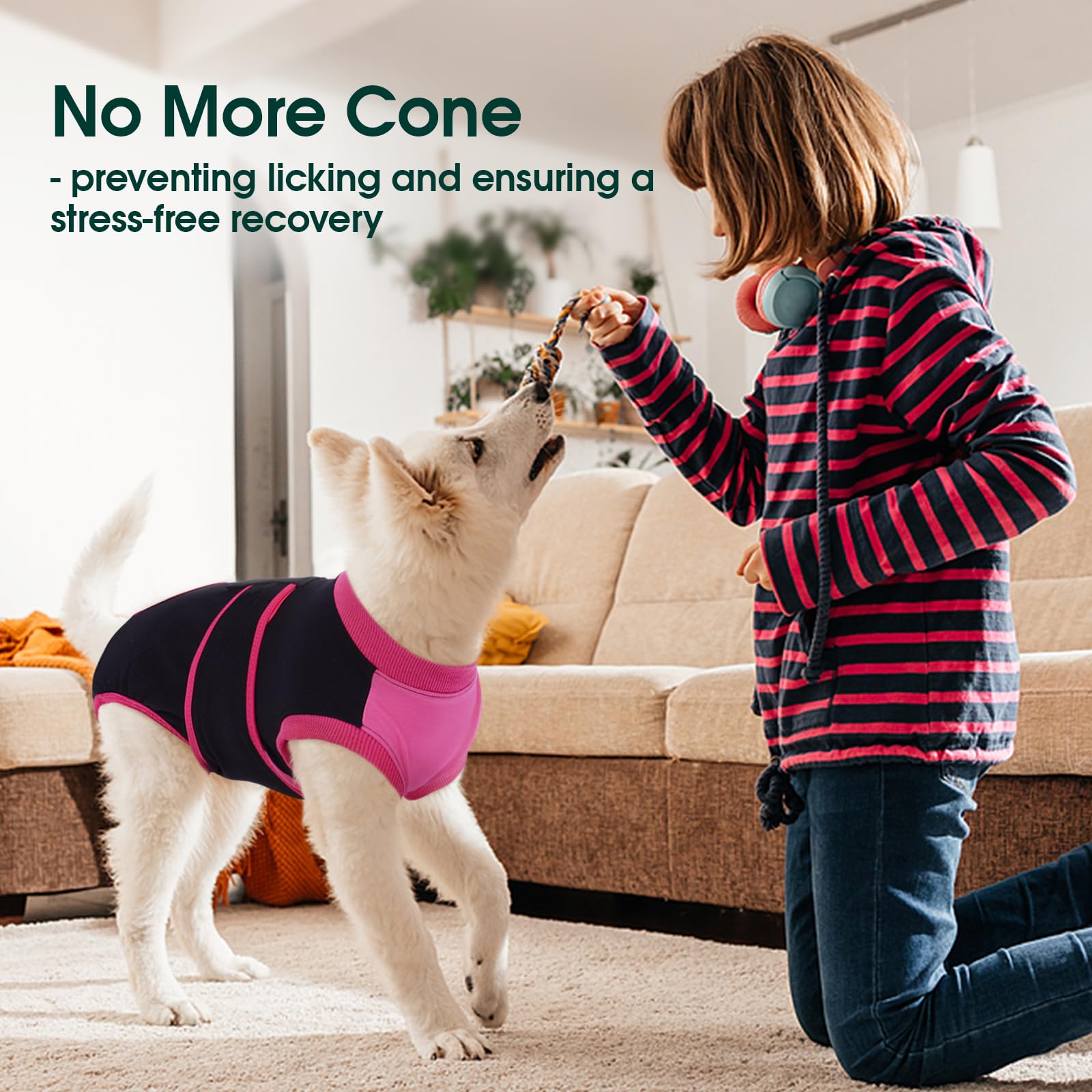 Kuoser six sizes ensure a secure fit for most dog breeds.