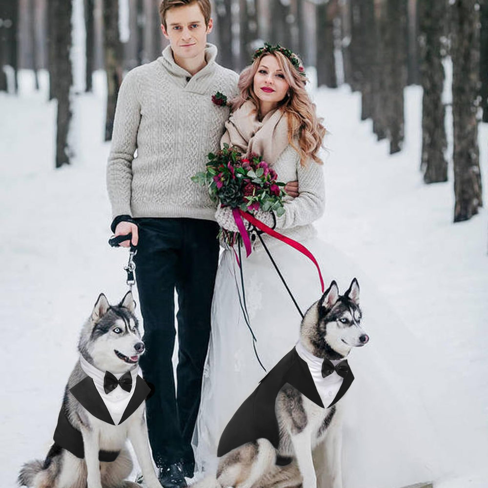 Kuoser size range covers small to large dogs for secure fit.