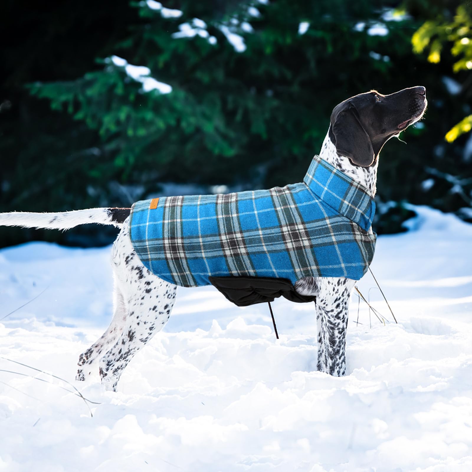 Kuoser warm inner fleece lining provides cozy warmth during chilly strolls
