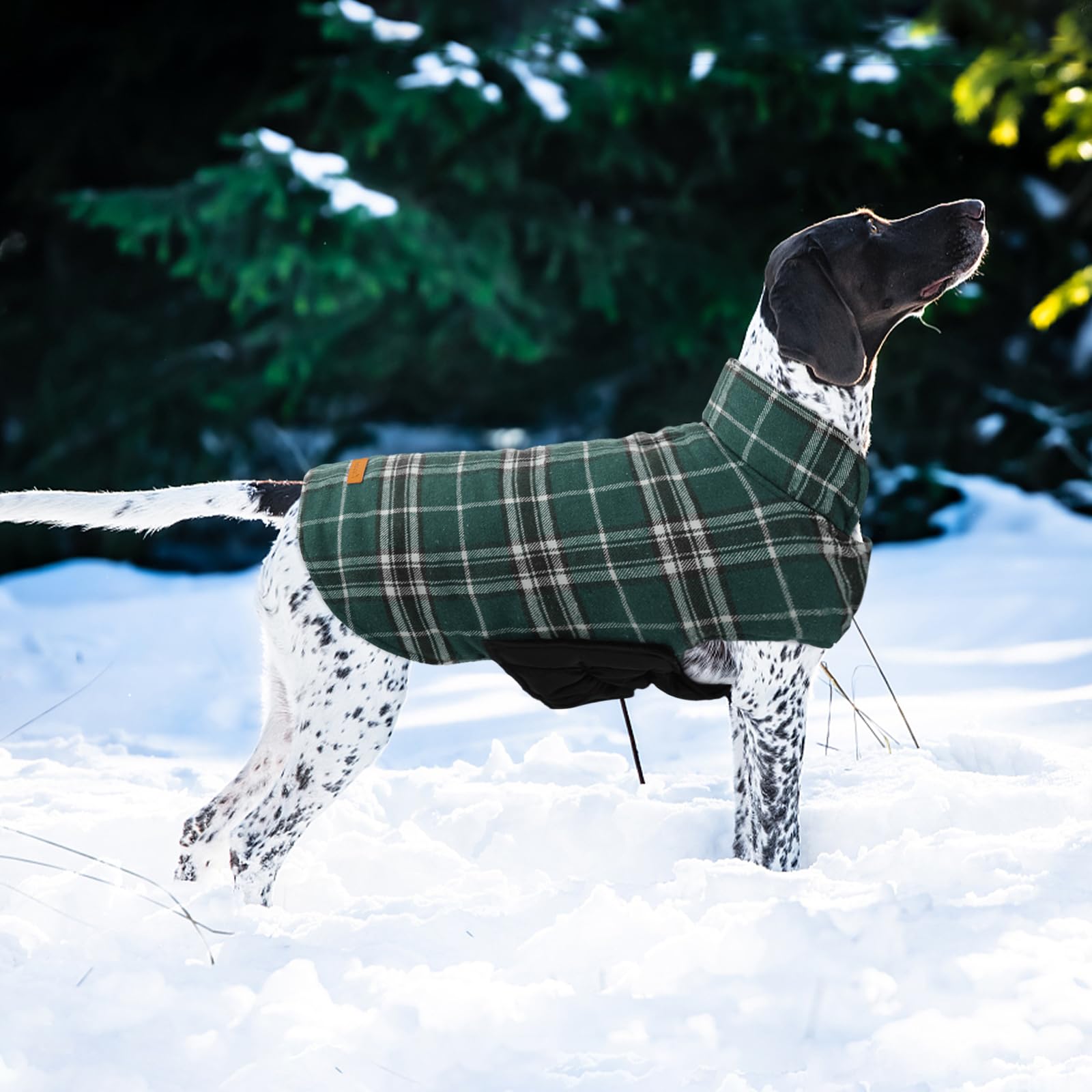 Kuoser adjustable closure with neck and belly fasteners for a secure fit