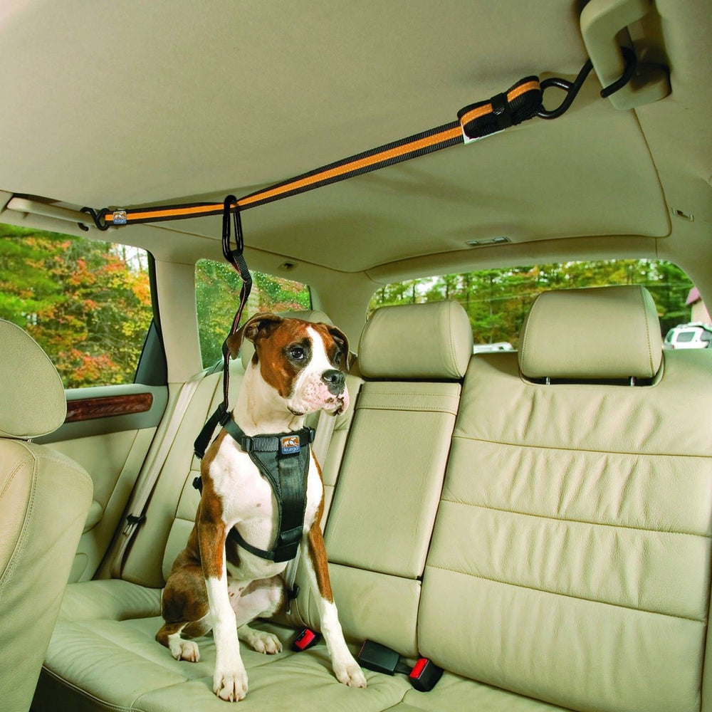 Kurgo Auto Zip Line all-steel hardware for lasting travel durability.