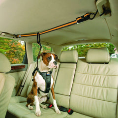 Kurgo Auto Zip Line all-steel hardware for lasting travel durability.