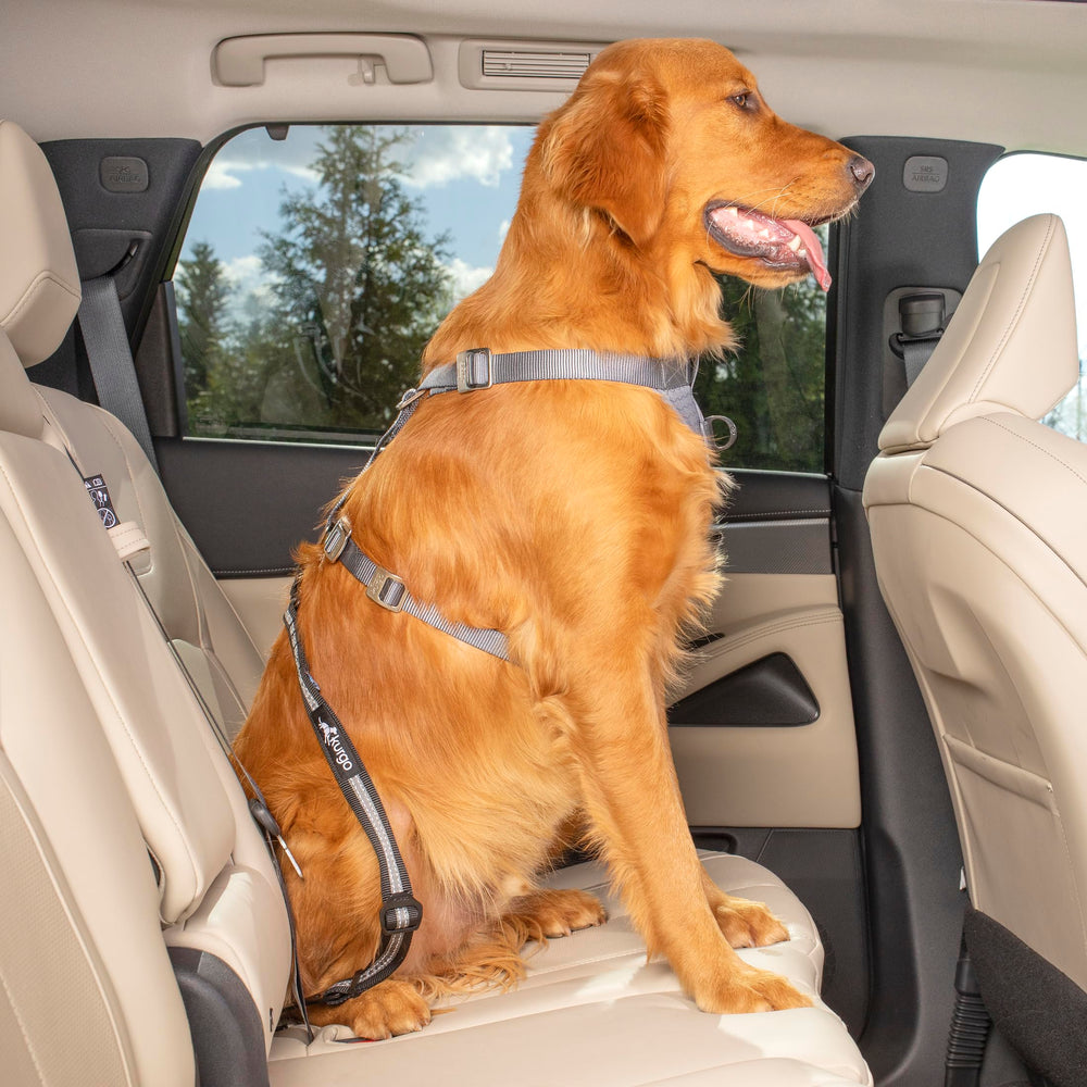 Kurgo carabiner clip harness attachment enables quick, secure harness connection during car rides.