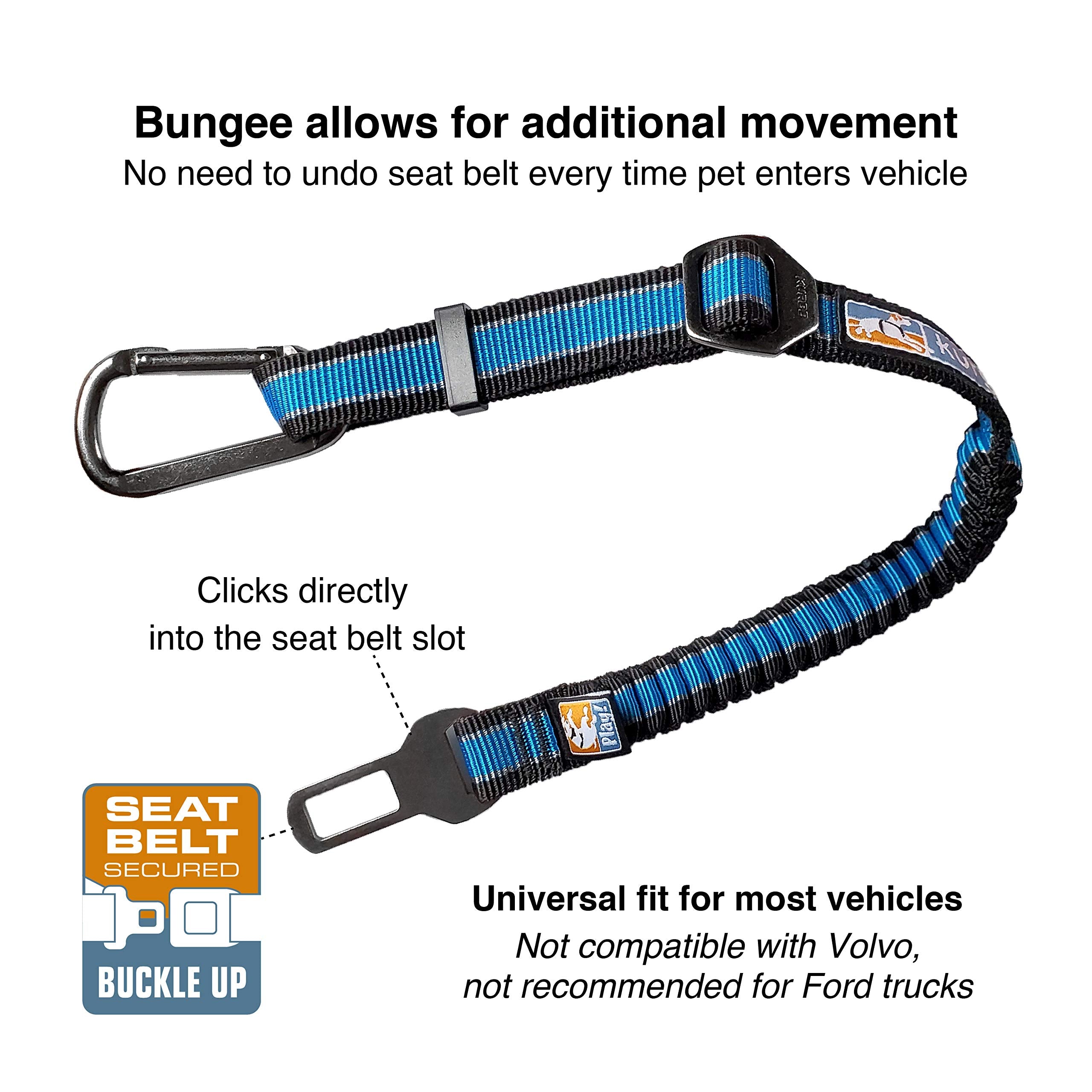 Kurgo Direct to Seatbelt Bungee Tether demonstrates adjustable length for comfy, secure backseat travel.