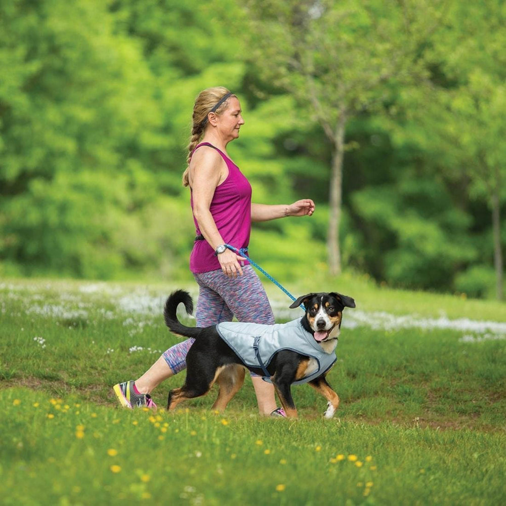 Kurgo Dog Core Cooling Vest demonstrates core cooling action as water evaporates