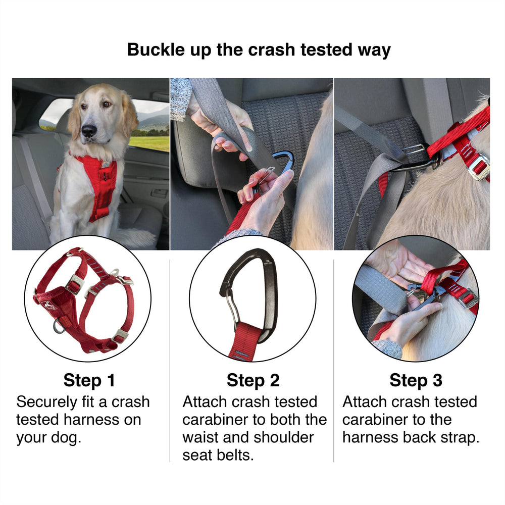 Kurgo dual leash attachments on back and chest for flexible control.