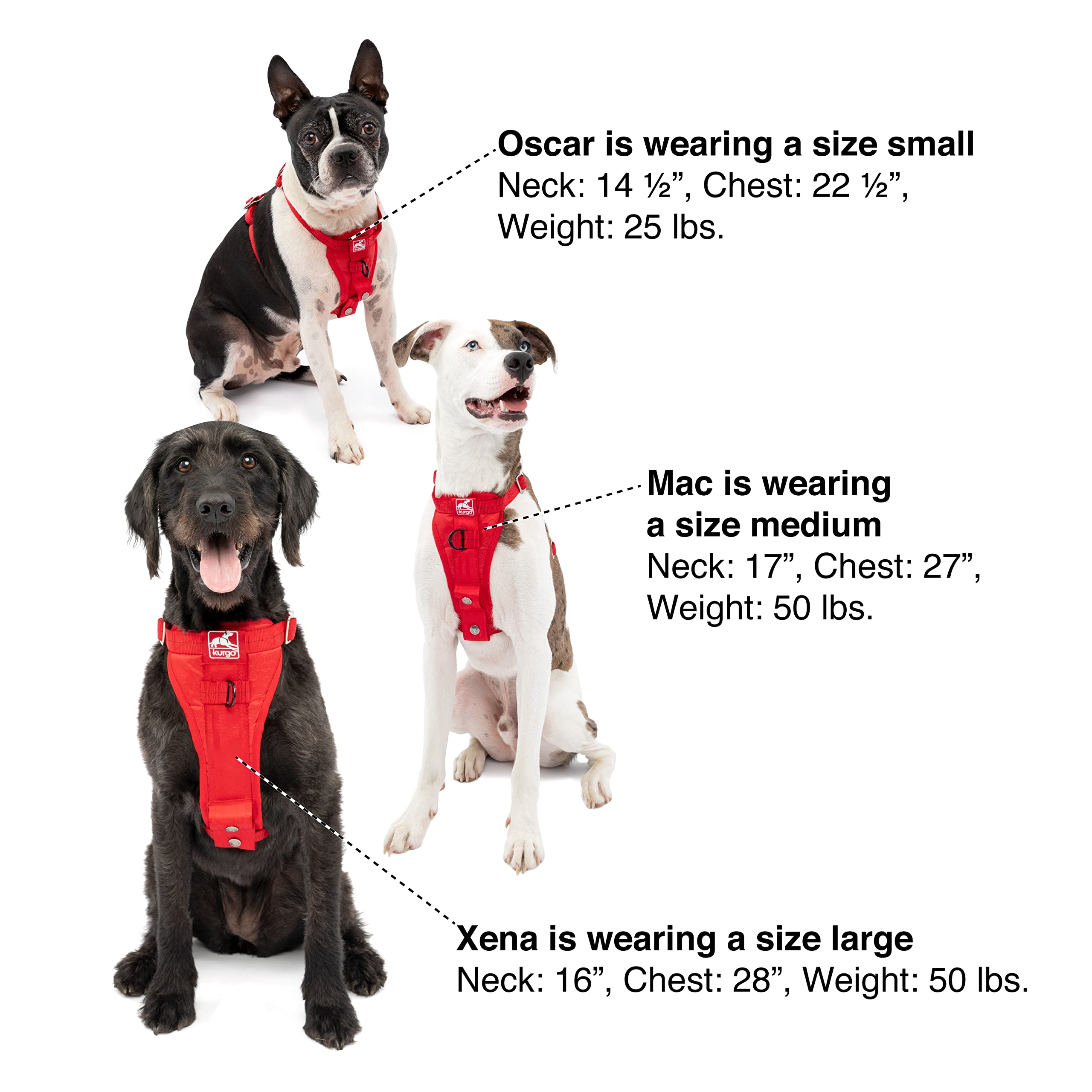 Kurgo durable buckles ensure long-lasting safety during travel.