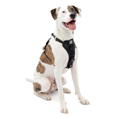 Kurgo Enhanced Strength Tru-Fit harness close-up shows crash-tested safety for car trips.