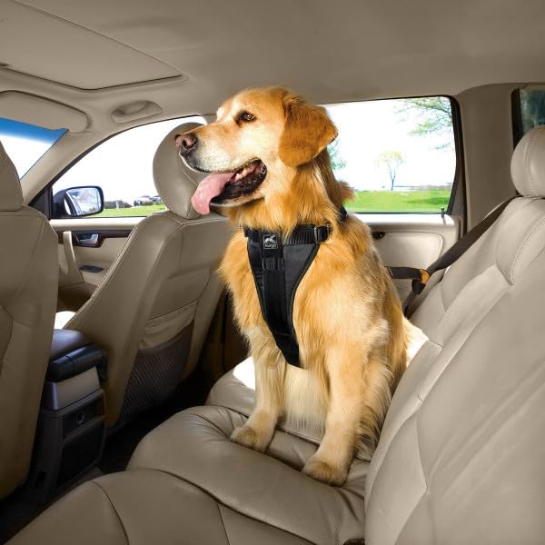 Five-point adjustment demonstrates secure fit for everyday walks and travel.