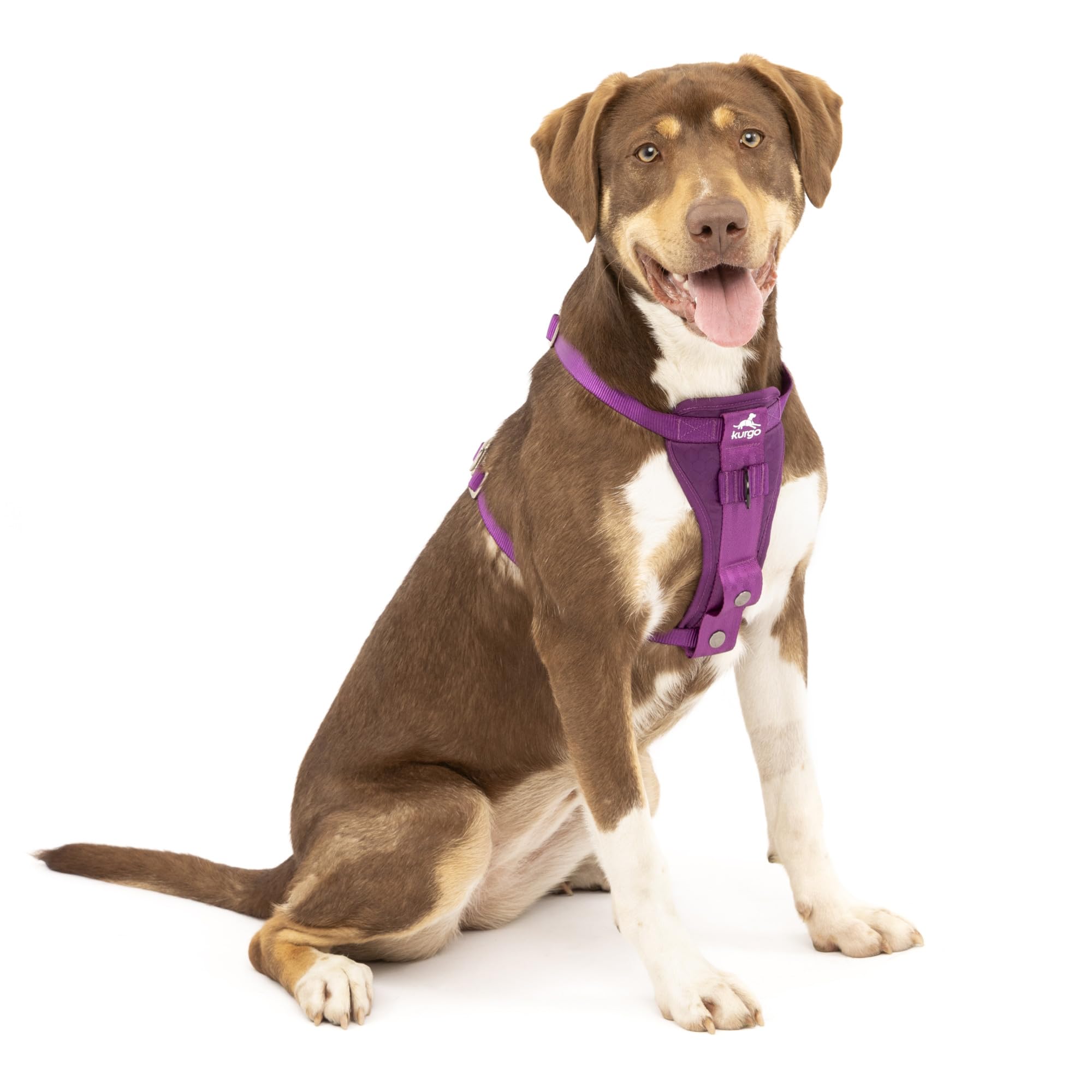 Kurgo Enhanced Strength Tru-Fit harness with padded chest plate for comfort during walks.