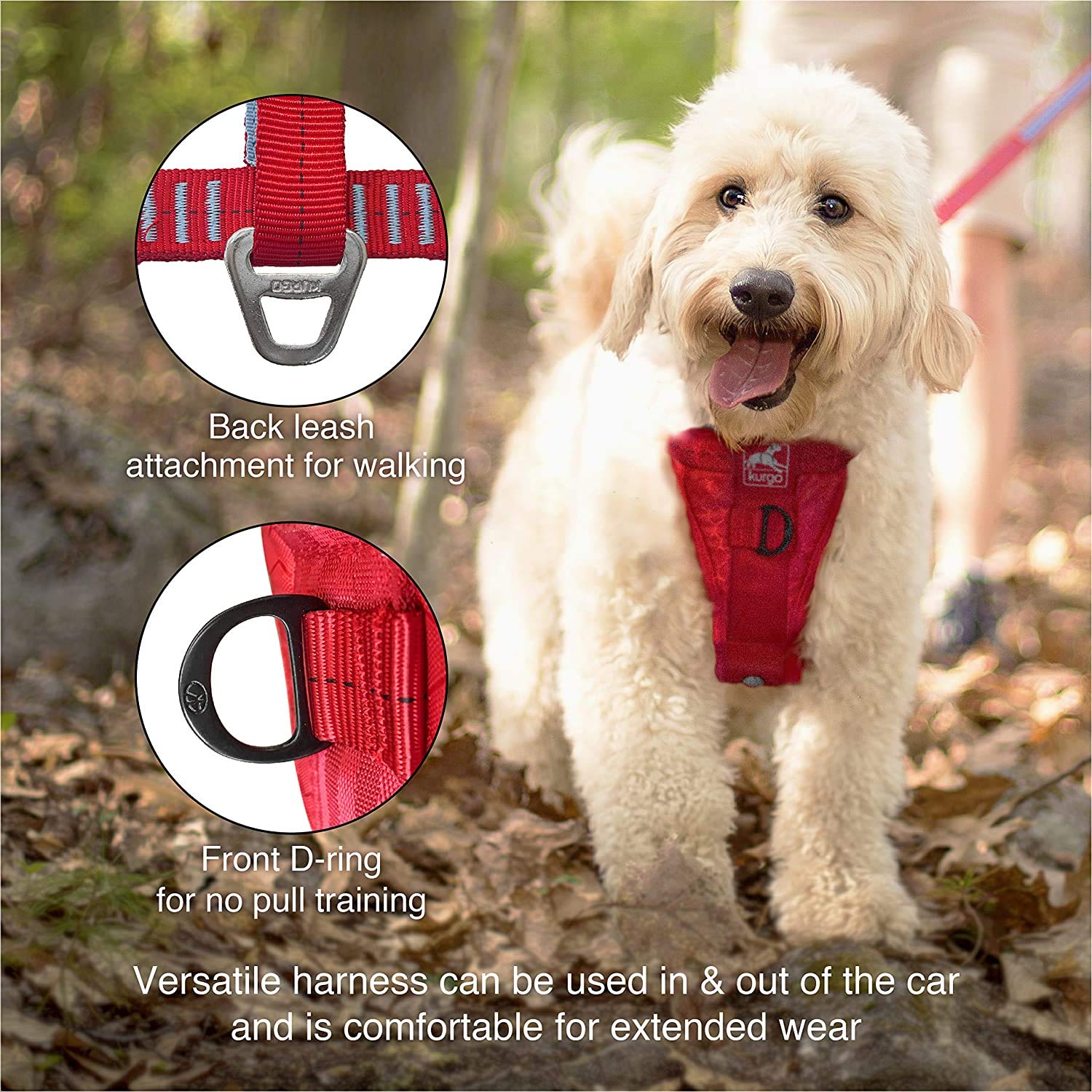 Kurgo five-point adjustment highlights a snug fit for different dog shapes.