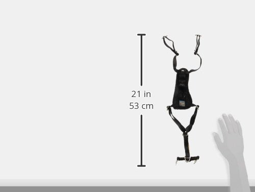 Padded chest on Kurgo harness enhances comfort during daily walks.
