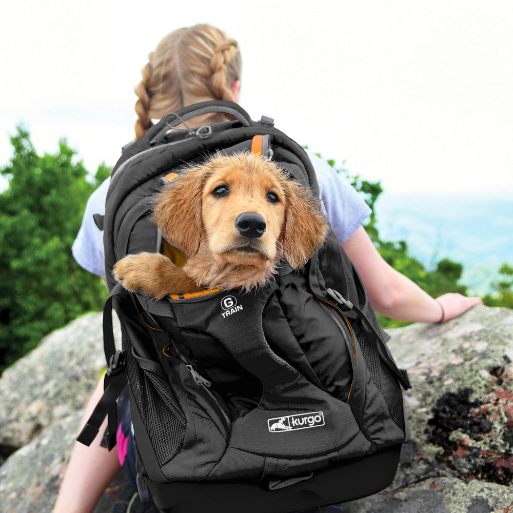 Kurgo G-Train supports dogs up to 25 pounds for outings.