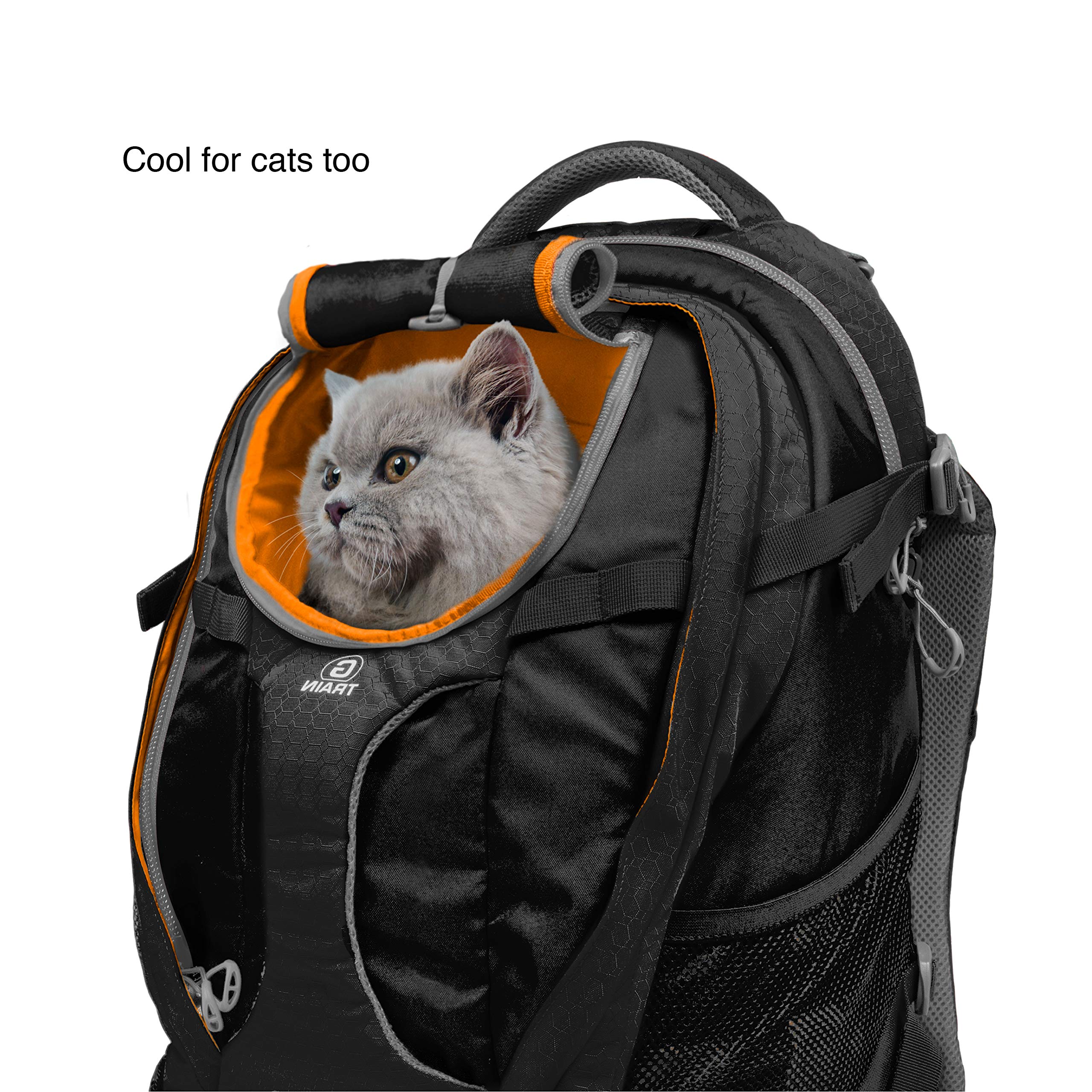 Kurgo G-Train provides padded laptop sleeve and organization pockets for travel.
