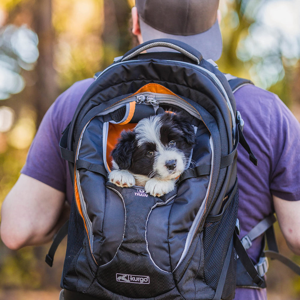 Kurgo G-Train top view illustrating visibility and ventilation for pets.