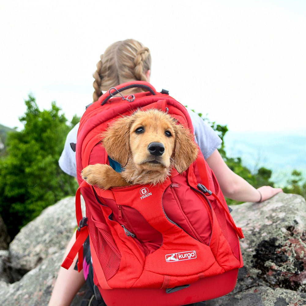 Kurgo G-Train stow-away straps convert to handheld carrier
