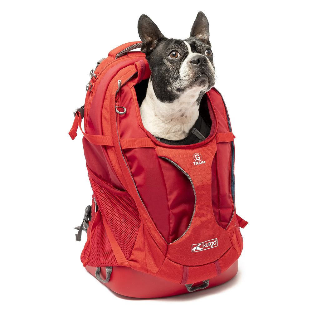 Kurgo G-Train top view showing compact dog carrier in use