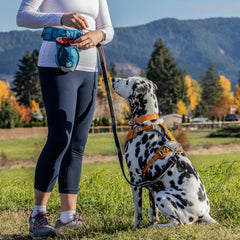 Kurgo Go Stuff It Treat Bag navy reflective patch boosts low-light visibility