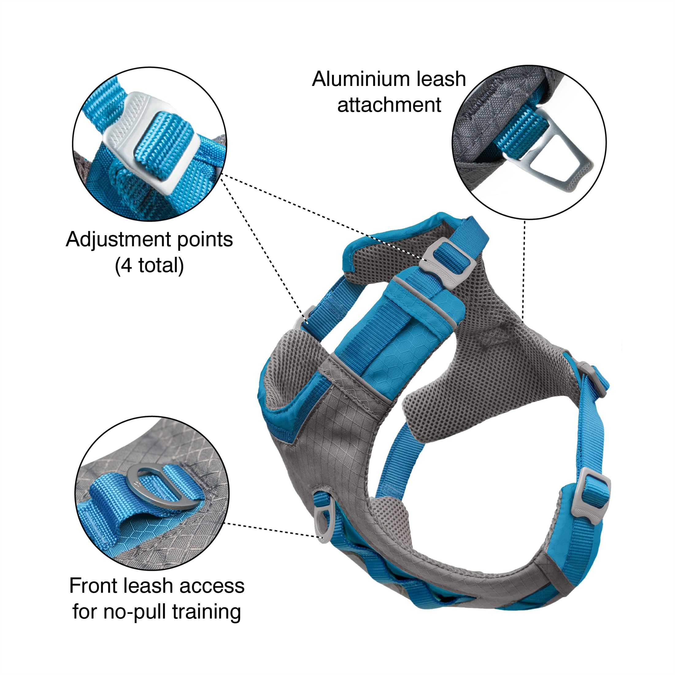 Back view of Kurgo Journey Air harness showing the back assist handle.