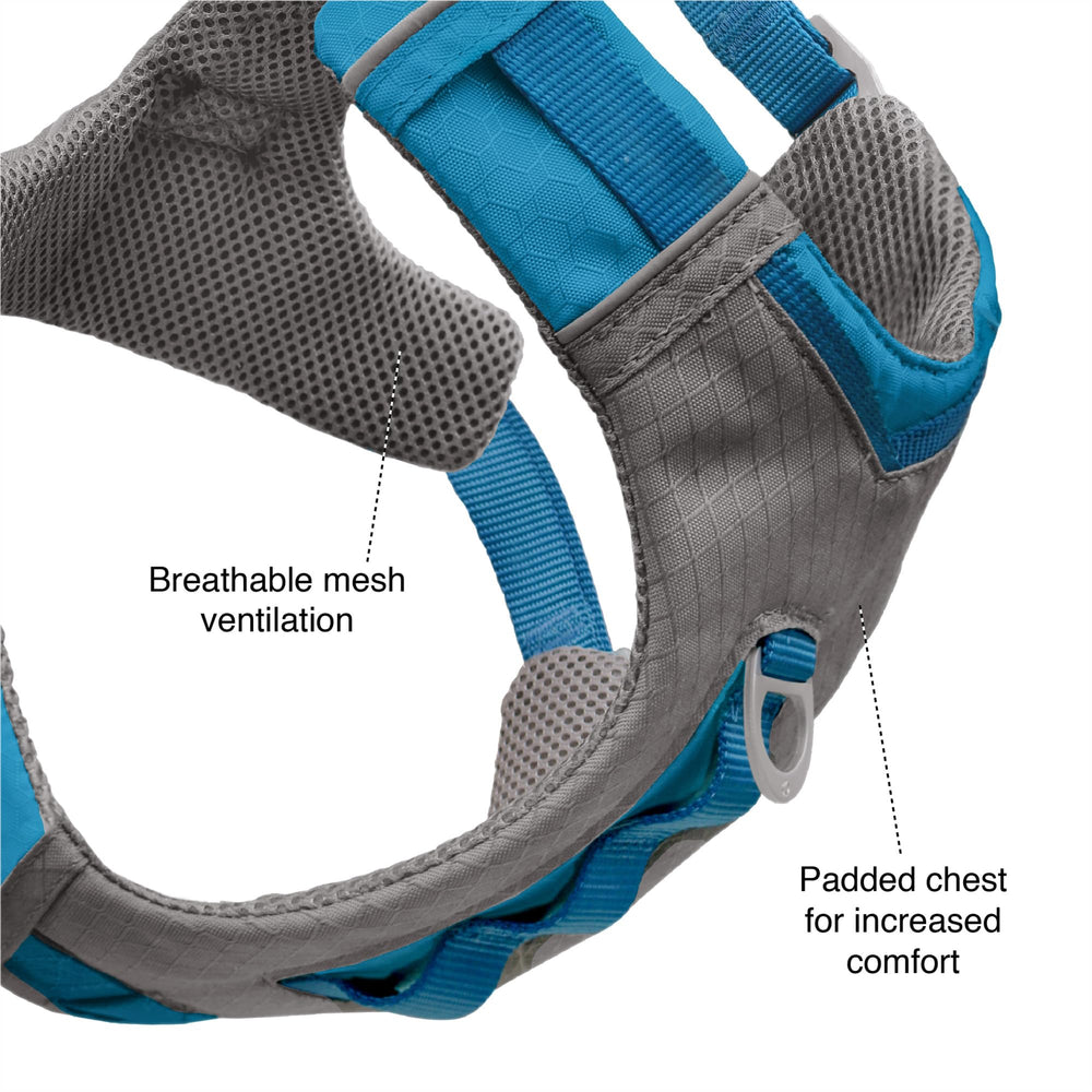 Kurgo Journey Air harness featuring breathable mesh for all-day comfort on hikes.
