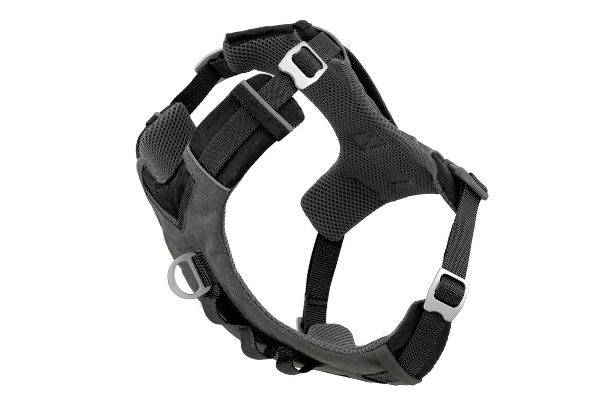 Kurgo Journey Air Harness front view with padded chest for comfortable outdoor adventures.