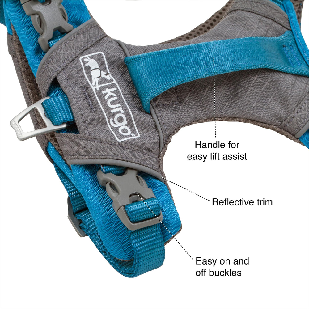 Kurgo Journey Air harness with reflective trim for better visibility in low light.