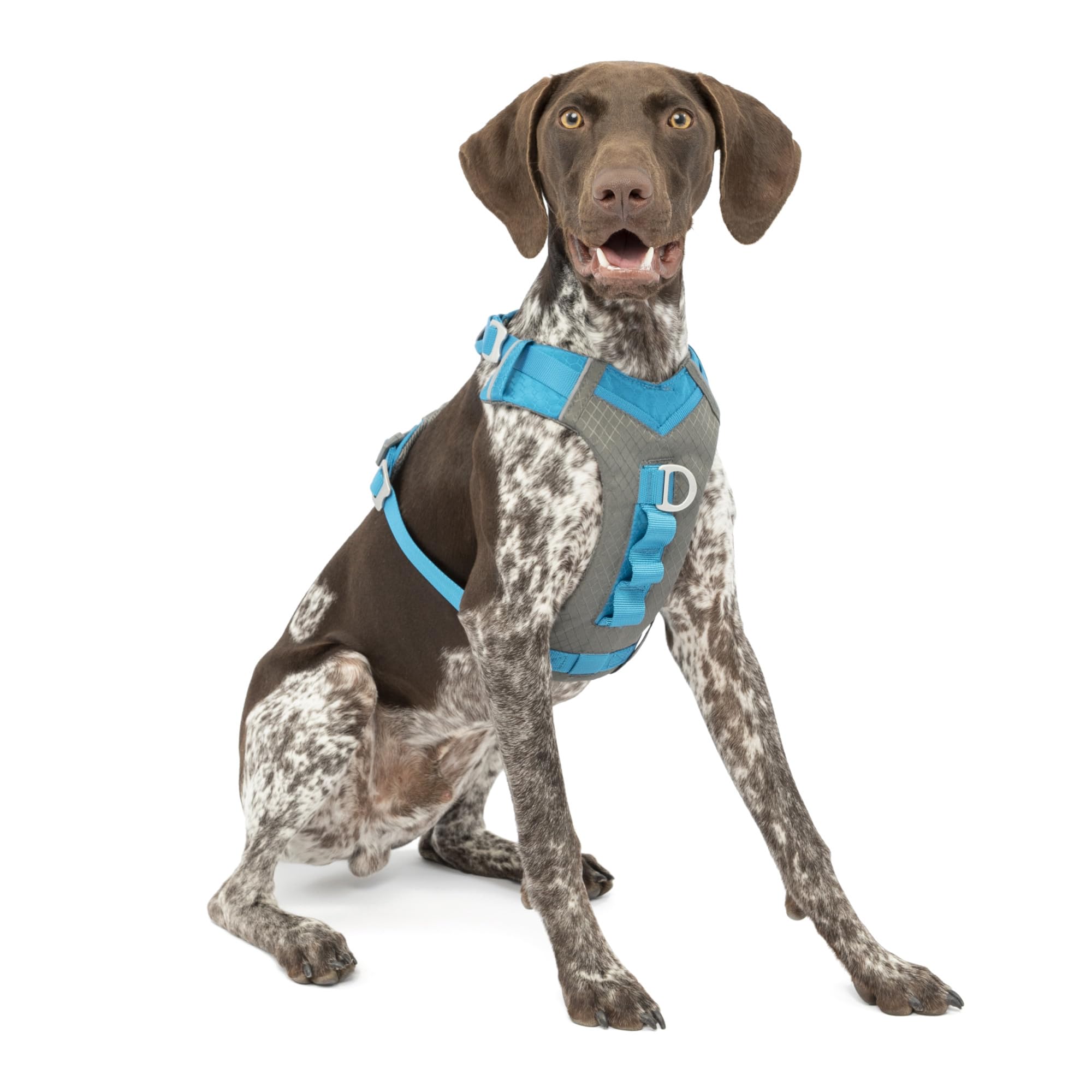 Kurgo Journey Air harness with secure fit and padded chest for comfortable adventures.