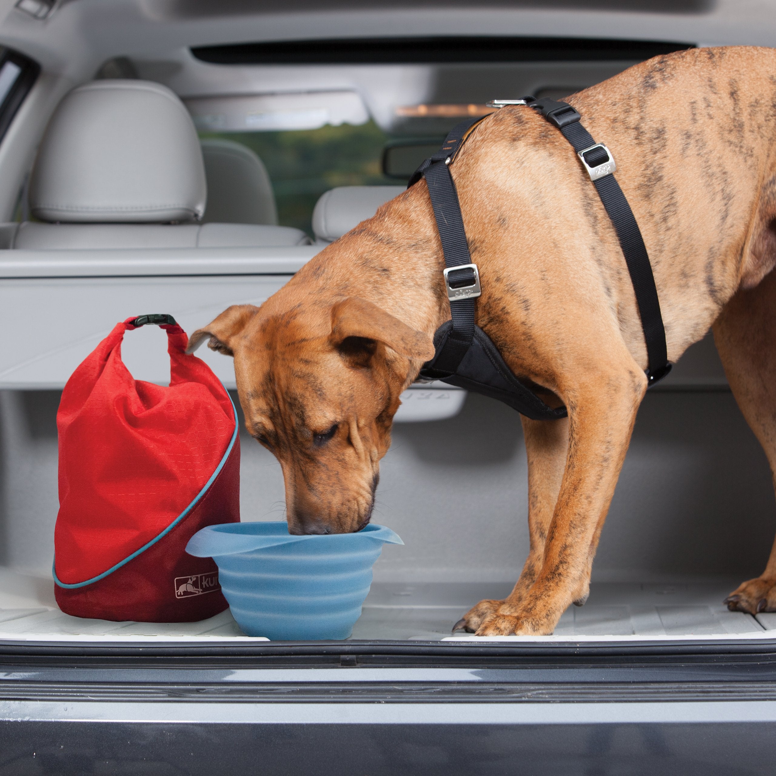 Kurgo Kibble Carrier in a camping setup shows easy access and portability.
