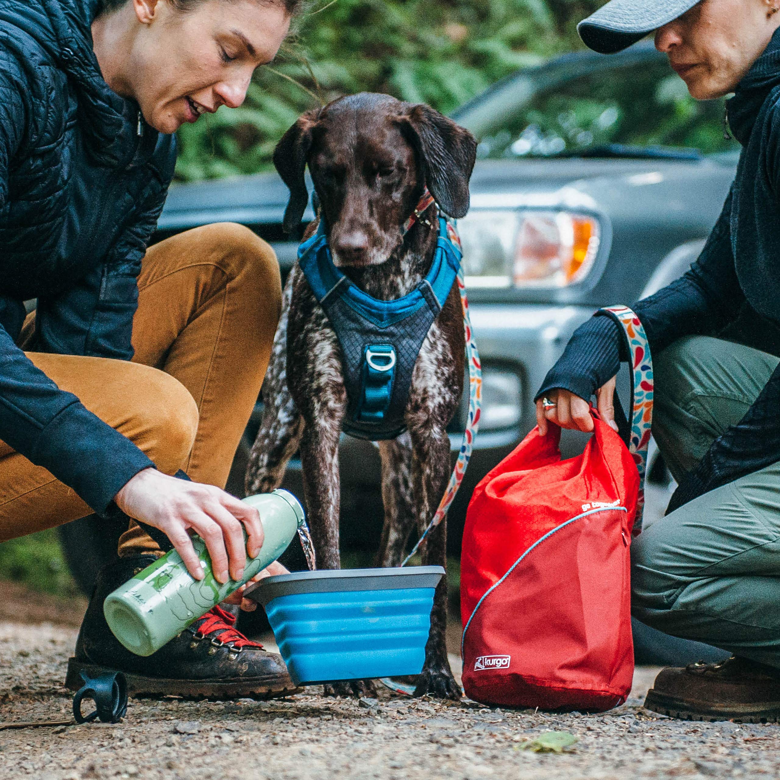 Lightweight Kurgo Kibble Carrier offers compact travel storage for hikes and road trips.