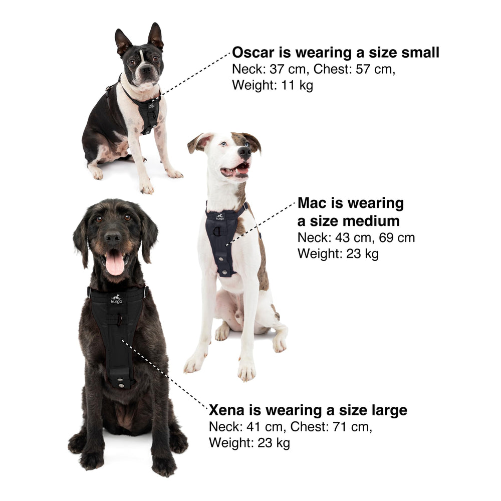 Kurgo machine washable design simplifies cleaning after adventures.