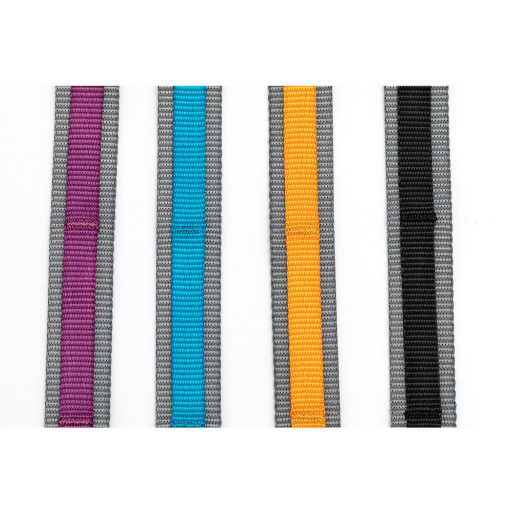 Kurgo Quantum Leash 3-foot training leash for close control.