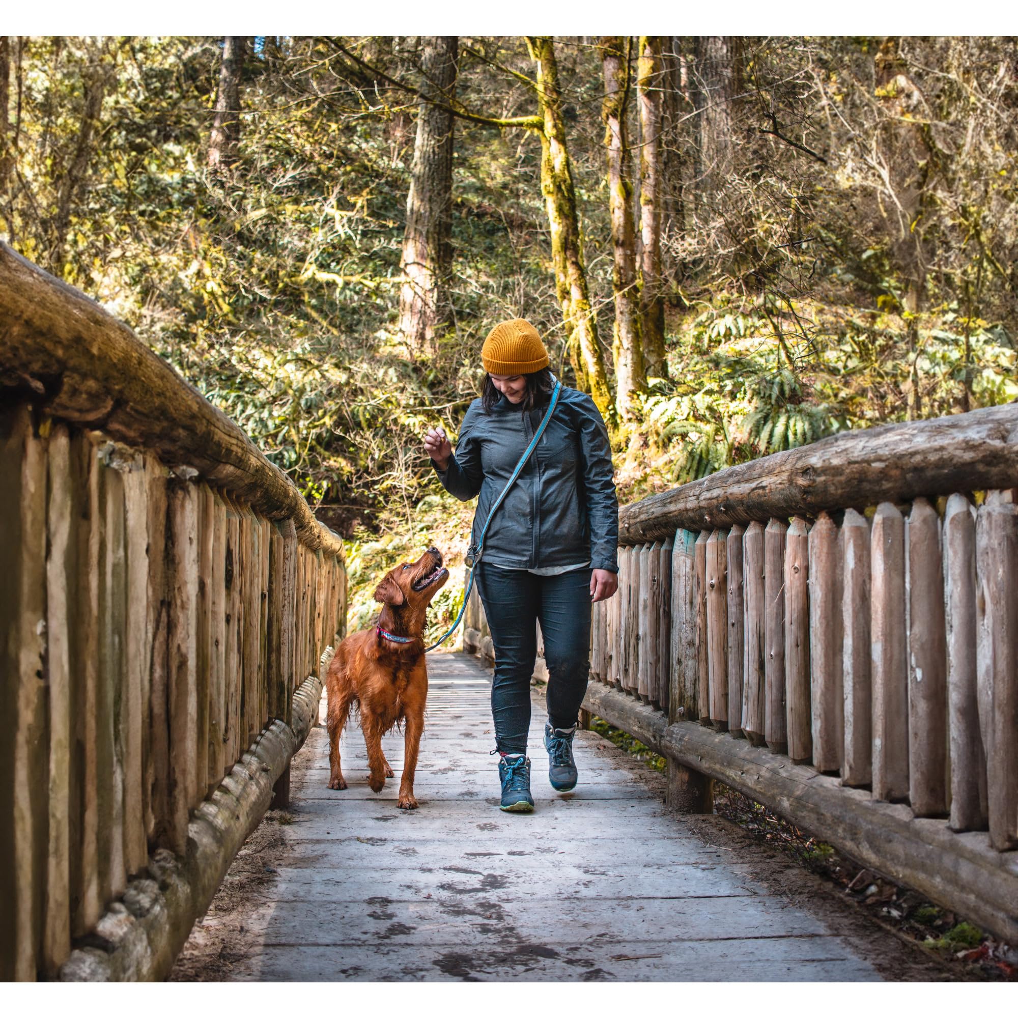 Kurgo Quantum Leash 6-foot lead ideal for everyday strolls.