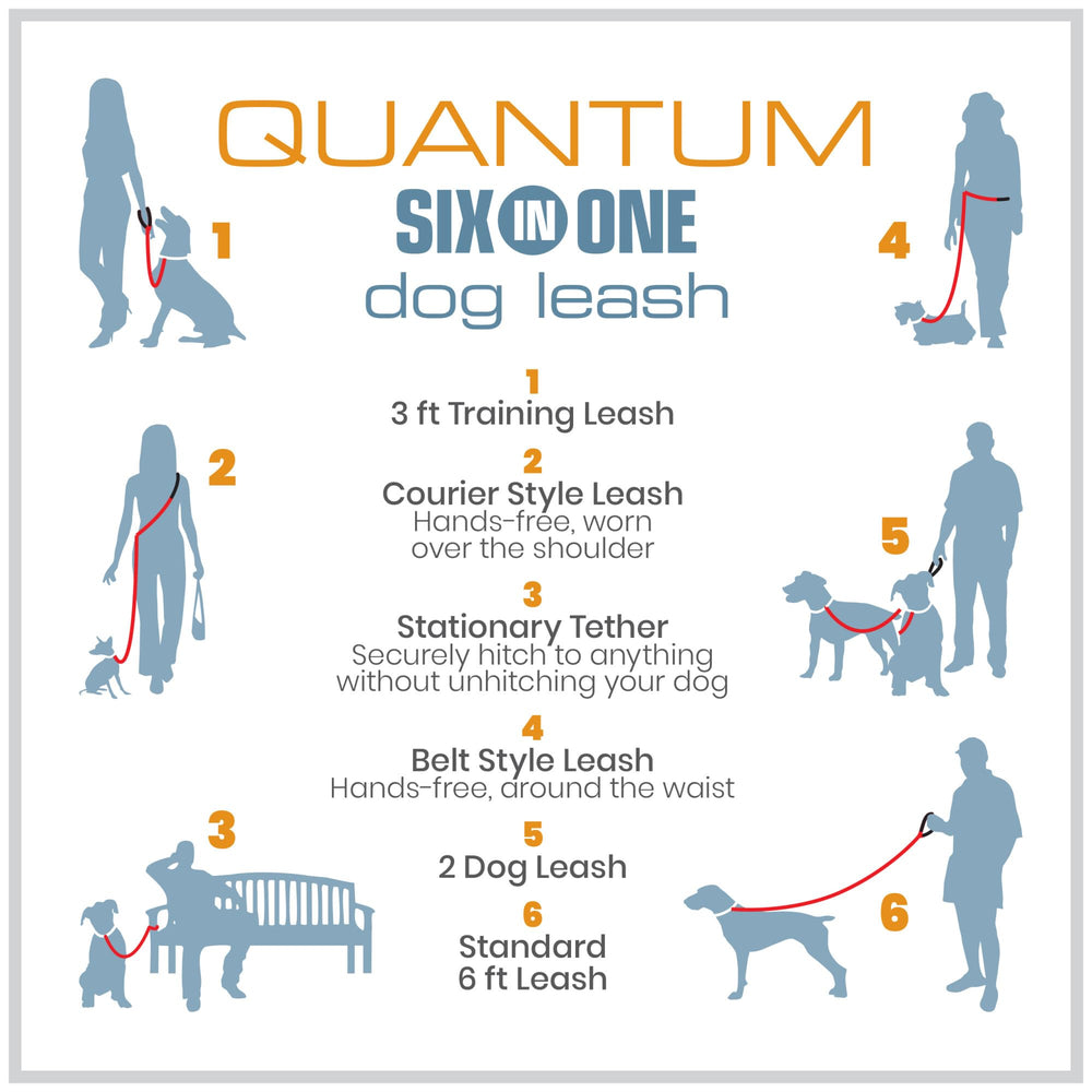 Kurgo Quantum Leash reflective nylon enhances low-light visibility.