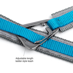 Kurgo Quantum Leash in waist-belt mode enables easy, hands-free walking.