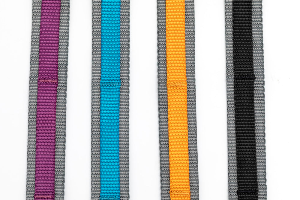Kurgo Quantum Leash Web Keeper highlighted for attaching gear with flexible bungee.