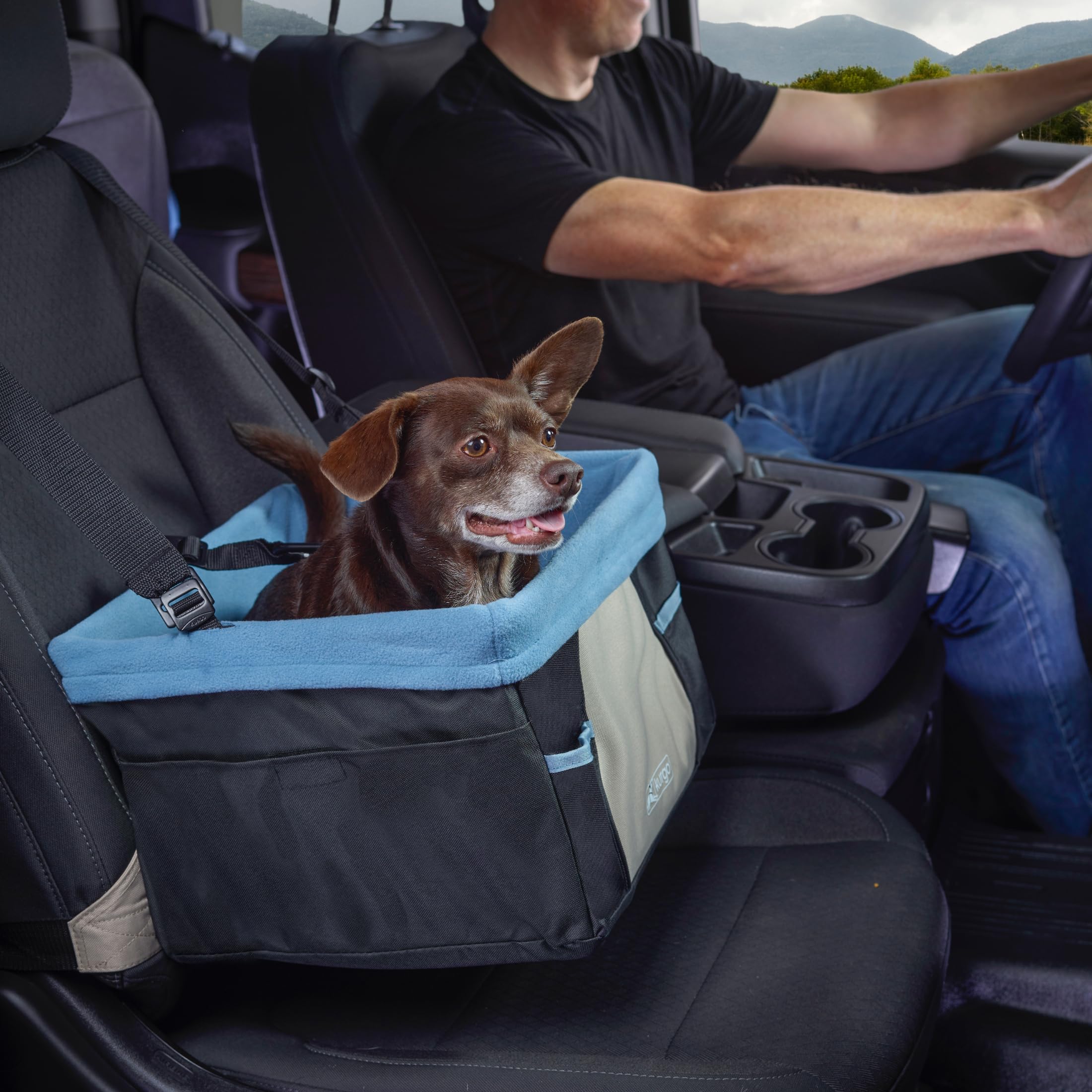 Kurgo Rover Booster Seat features a tether for harness security.