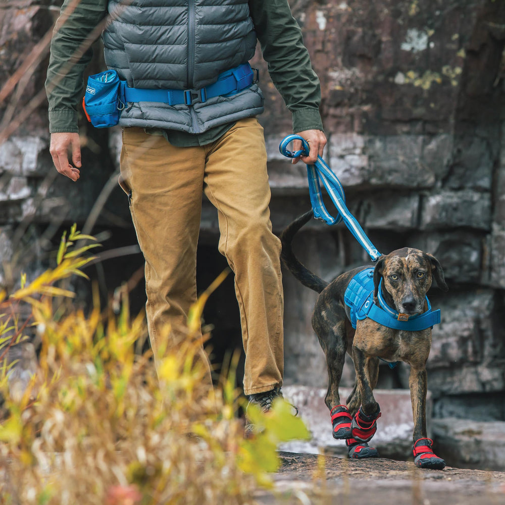 Kurgo RSG Active Utility Belt with breathable mesh padding for comfort