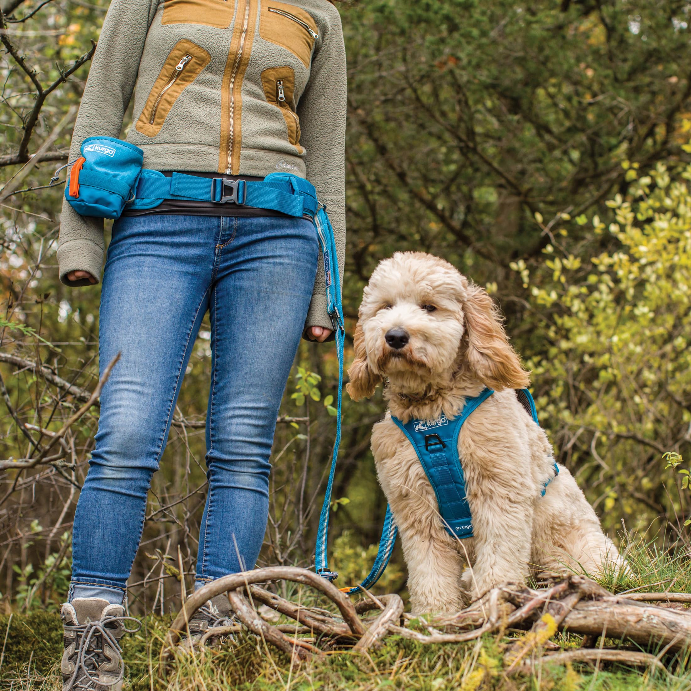 Kurgo RSG Active Utility Belt used with compatible harnesses for flexible setups