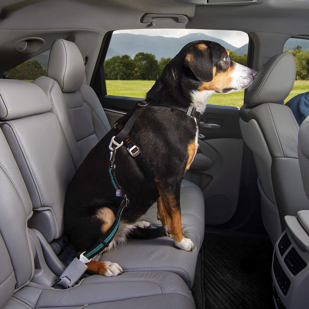 Easy, quick installation makes road trips simpler with trusted Kurgo gear.