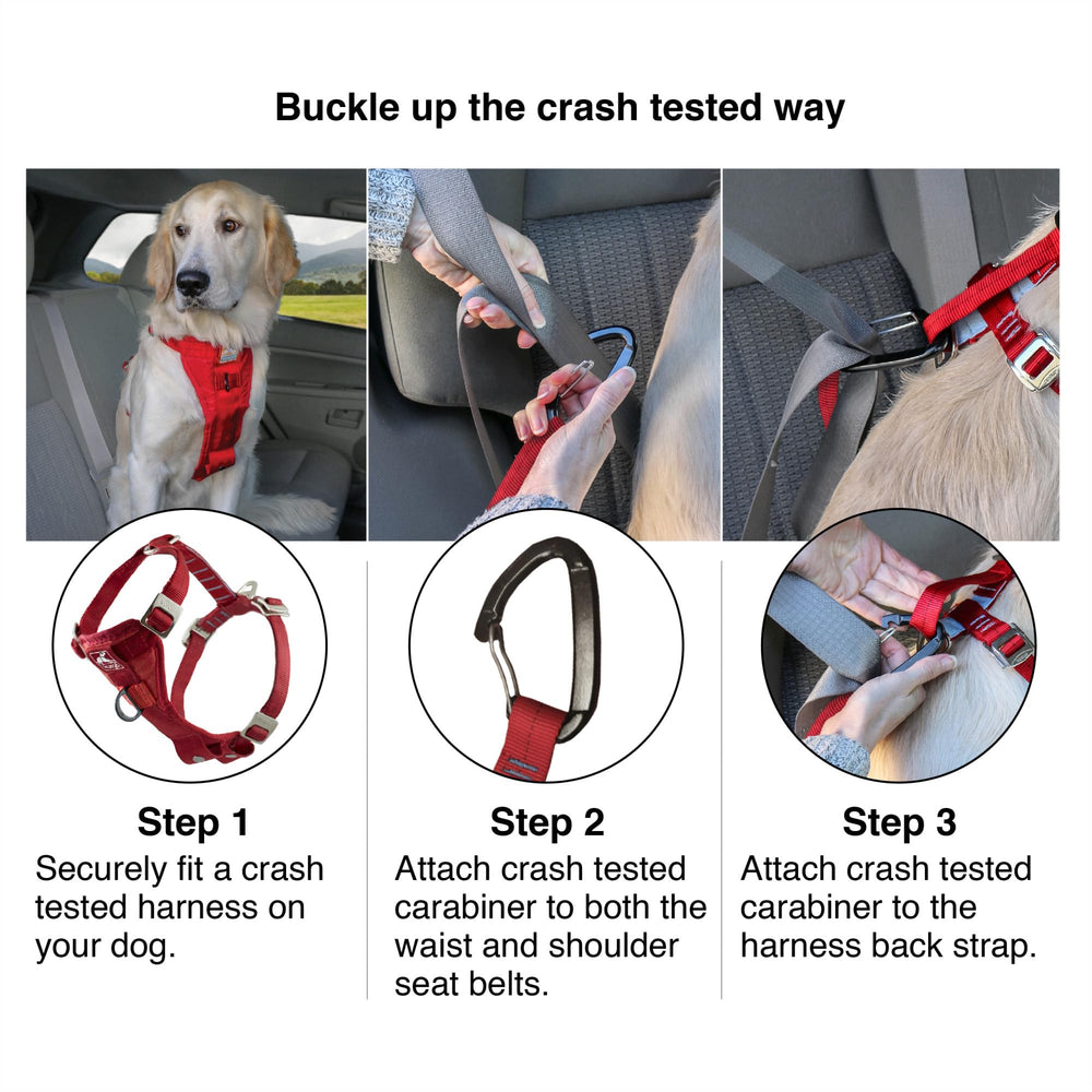 10-inch seatbelt tether with steel carabiner for quick vehicle attachment.