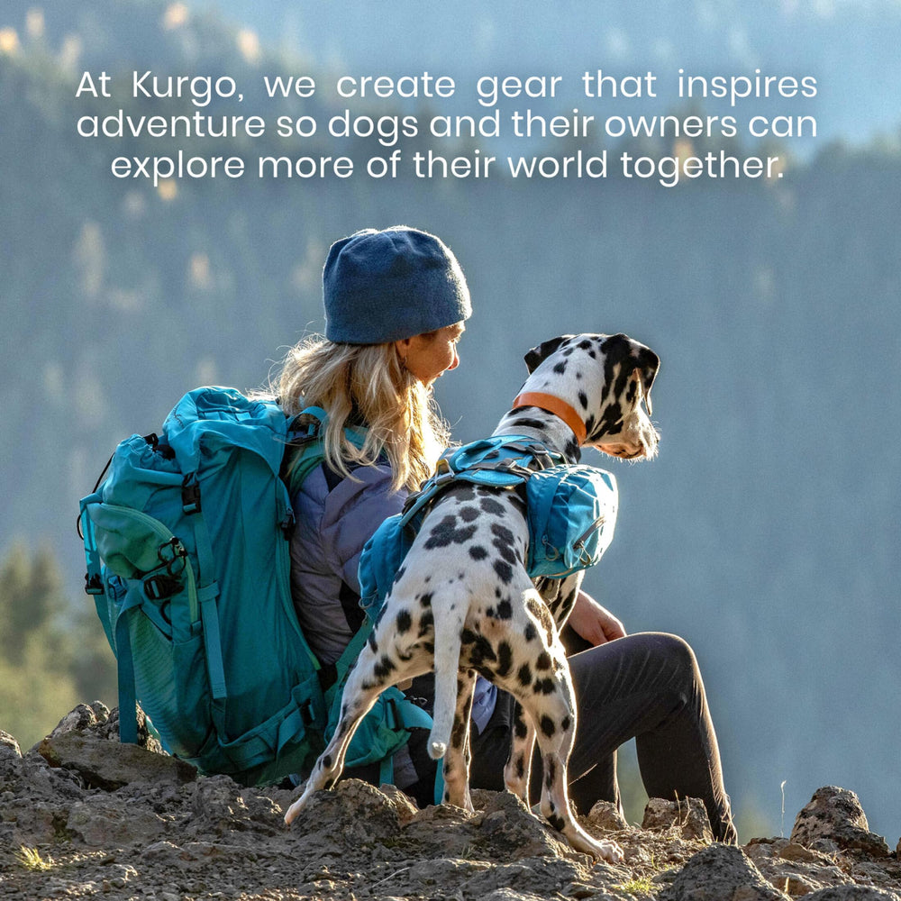 Kurgo Shed Sweeper silicone brush loosens embedded hair from fabrics.