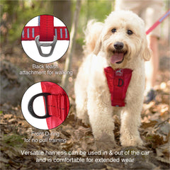 Five-point adjustment on Kurgo harness for a snug, secure fit.