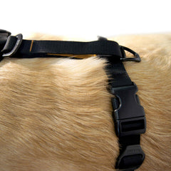 Kurgo Tru-Fit reflective trim increases visibility during early and late strolls.