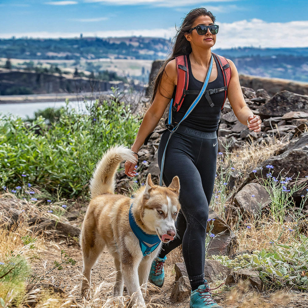 Kurgo Web Keeper with bungee stores essentials during adventures.