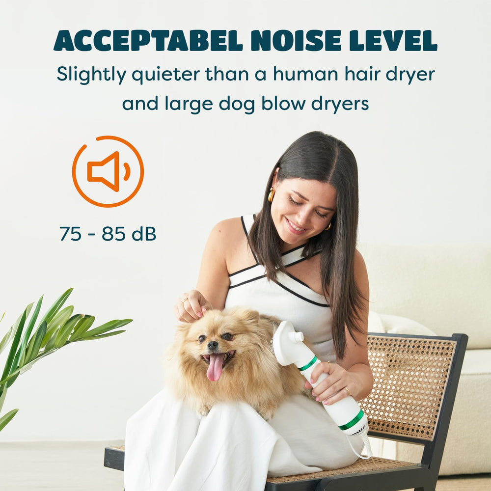 KUUBIA 300W power supports efficient small-dog drying