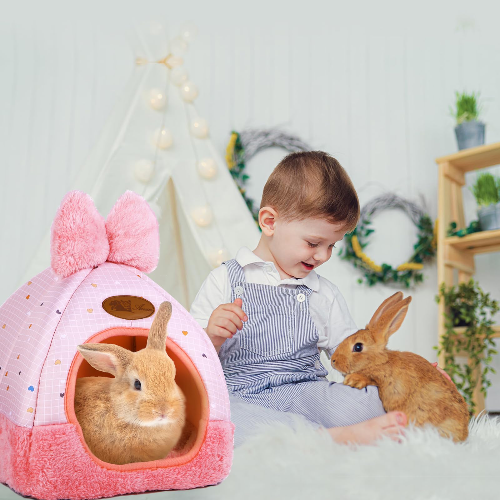 Kwerdas Bunny Bed spacious interior suitable for several small pets.
