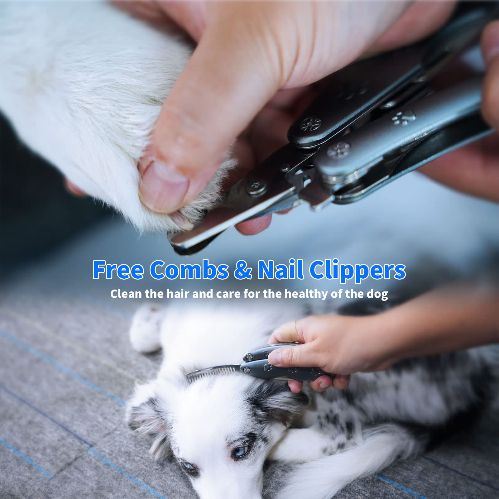 KXCDTECH dog nail clipper with file and comb for refined grooming.
