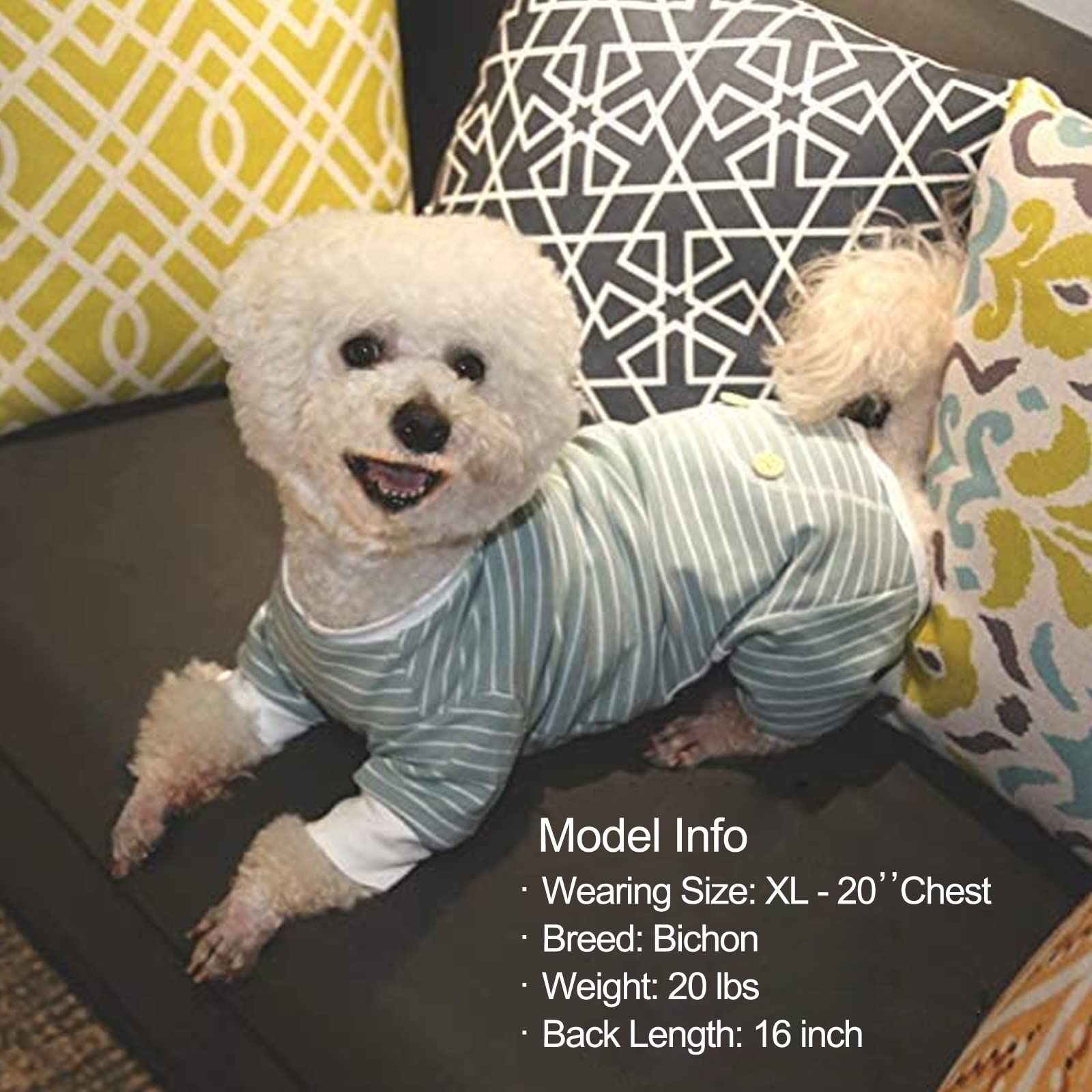 KYEESE size guide helps choose the right fit for growing small dogs